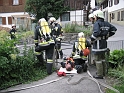 bild (7)